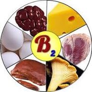 វីតាមីន B2 B2 សម្រាប់ខួរក្បាល