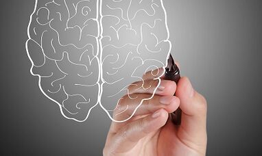 មូលហេតុនៃការបាត់បង់ការចងចាំ